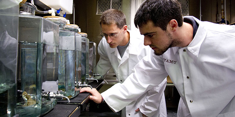 students conducting experiments