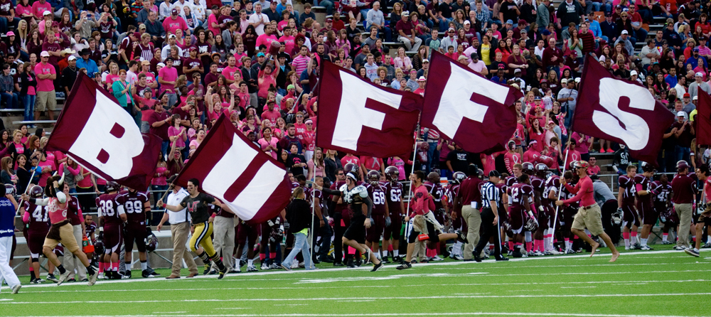 texas a&m common app