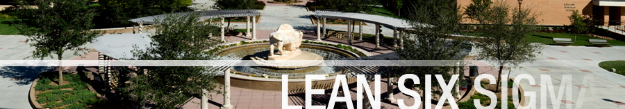 Lean Six Sigma at WTAMU