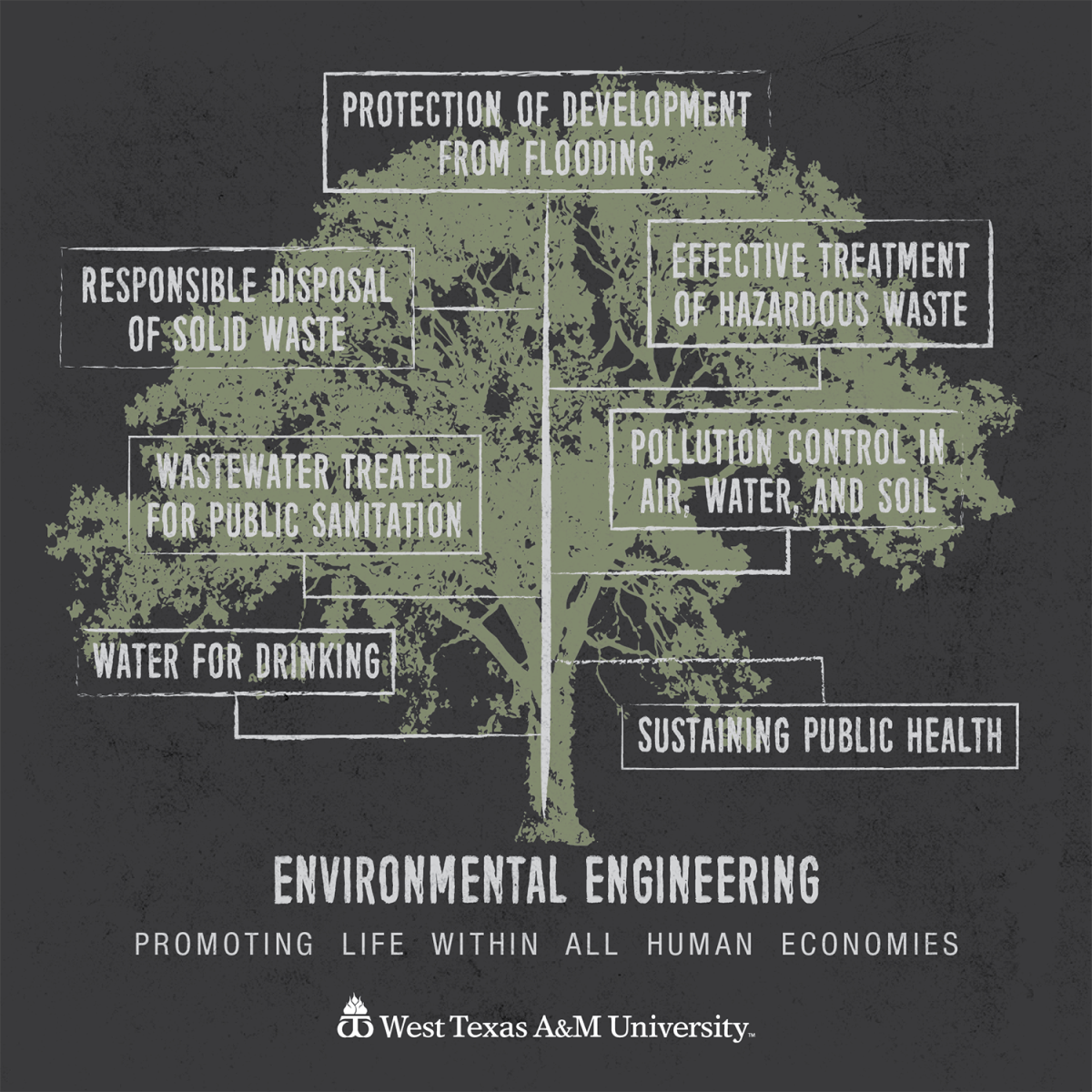 west texas a m university environmental engineering program what looks good on college applications