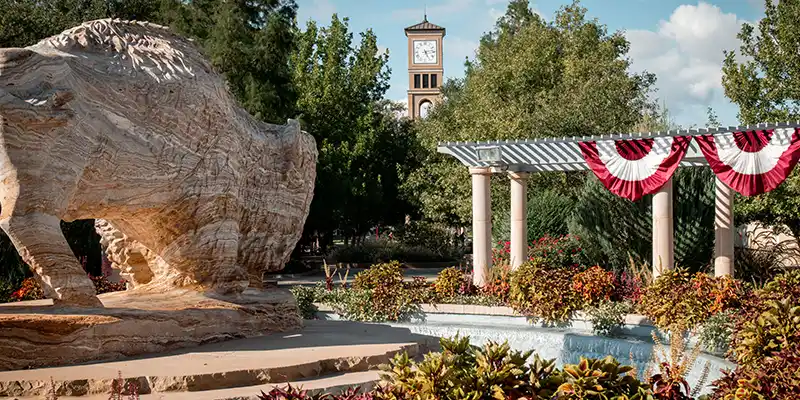 Buffalo Fountain and Hayward Spirit Tower