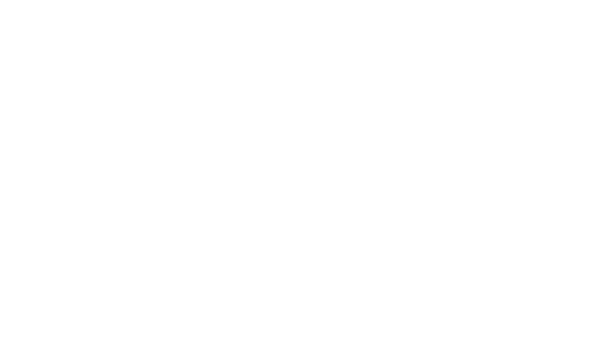 WT Spirit Logo White
