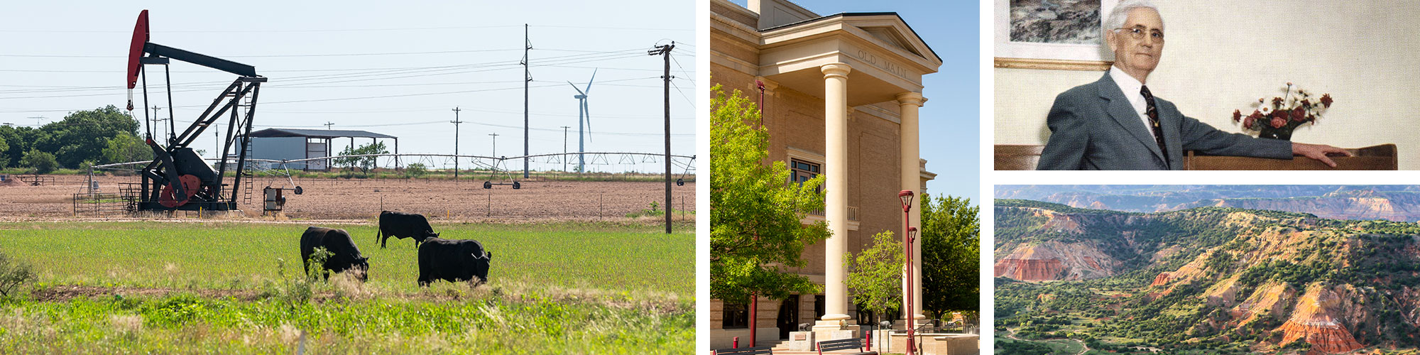 Texas Panhandle Oil, Wind Power and Beef