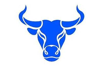 Toro Bravo Radio Logo