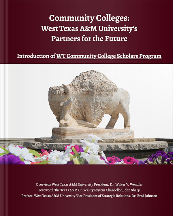 Walter Wendler Community Colleges E-book