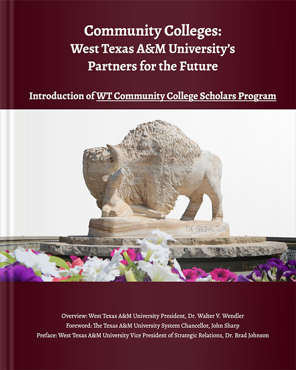 Read This E-Book on Community College