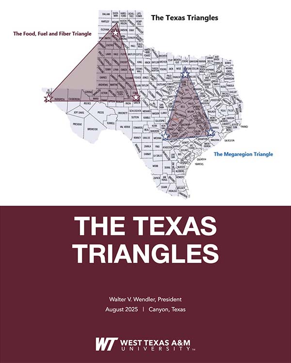 E-Book The Texas Triangles