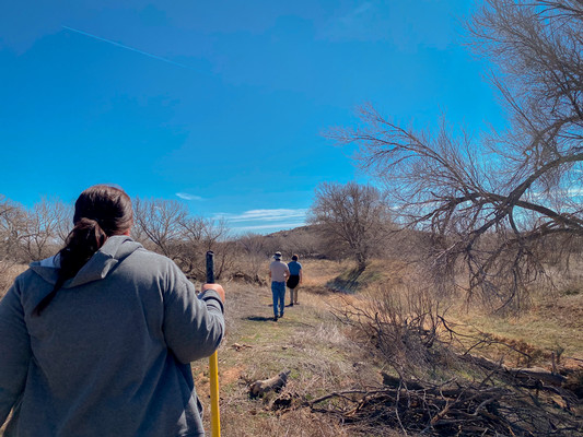 CreekRestoration2025