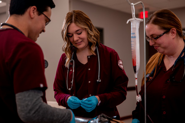 nursing-stock-pre-specialization.jpg