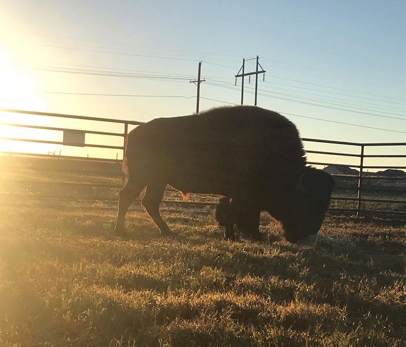 Thunder.Sunrise