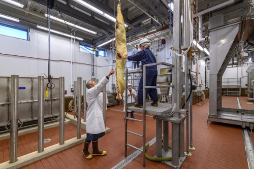 ags-meatlab-20.jpg