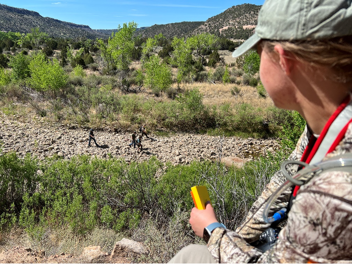 Wildlife Biology Field Research