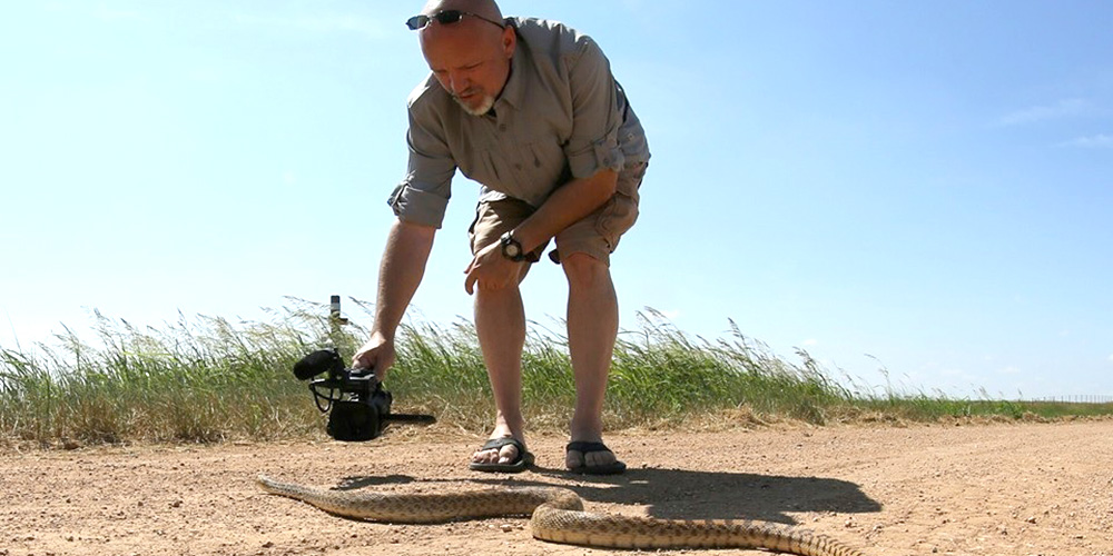 WTAMU Ray Matlack Snake