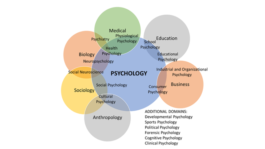 Psychology Careers Venn Diagram