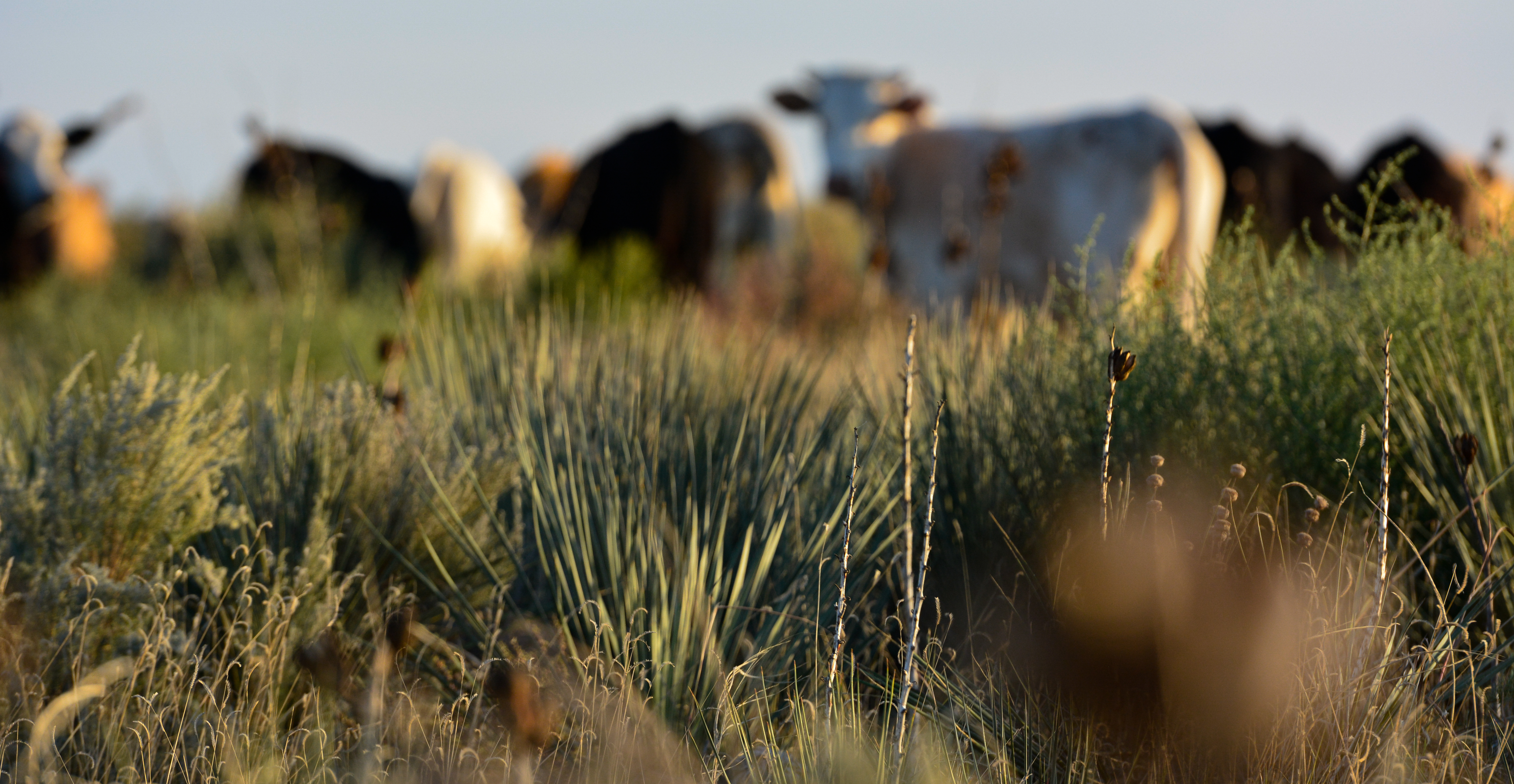 agtech2