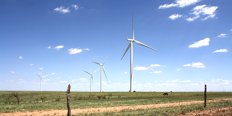 Windmills in a field