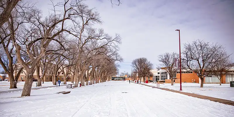 WT Snow Day