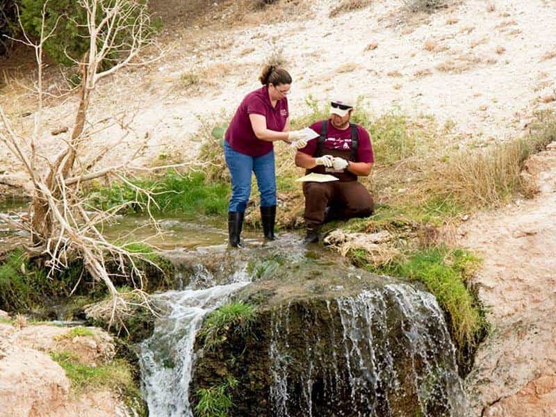 gradschool field research