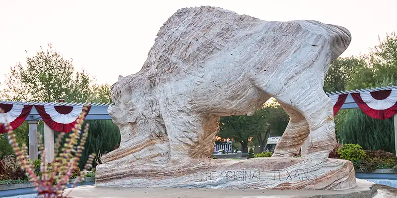 Buffalo Fountain