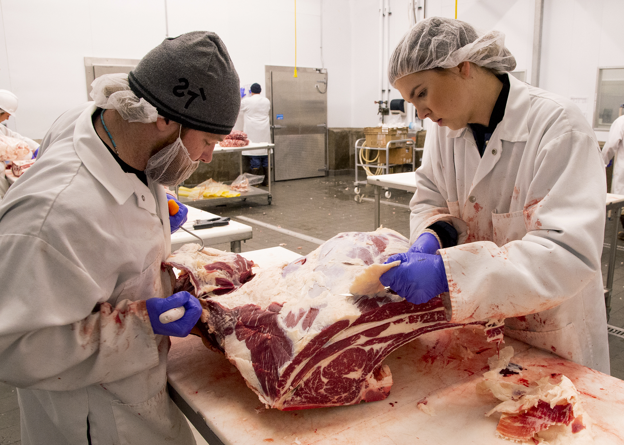 Meat Lab