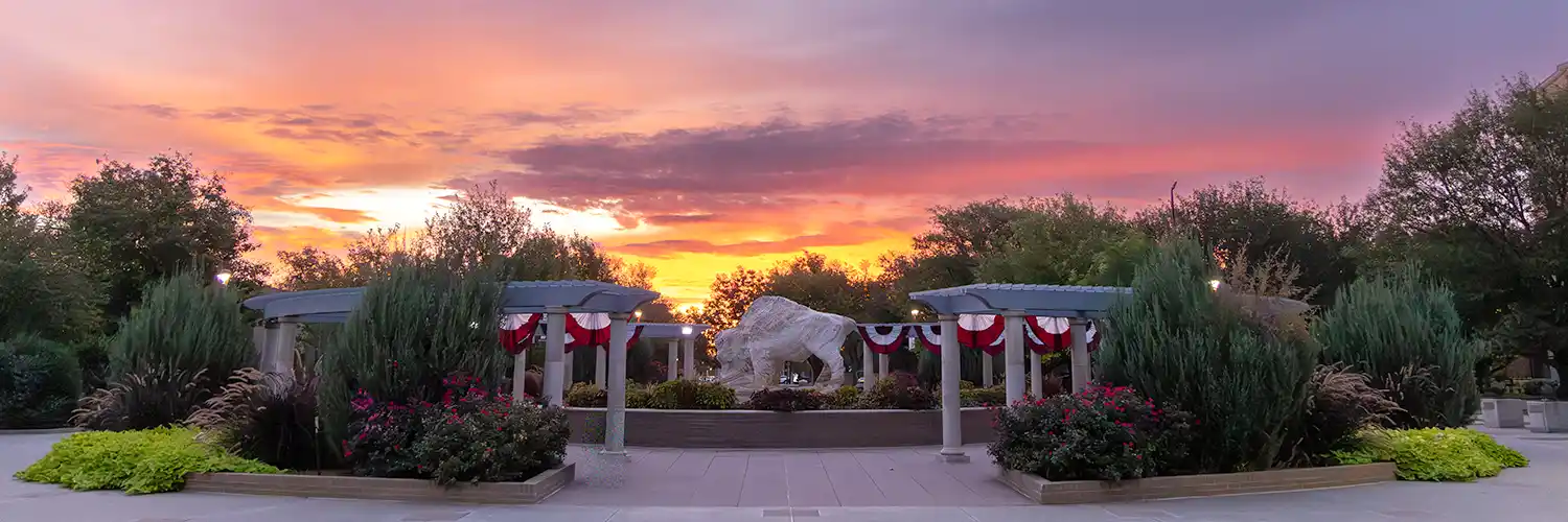 Buffalo Fountain at Dawn