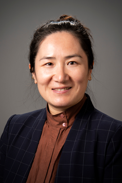 Dr. Ming Xie