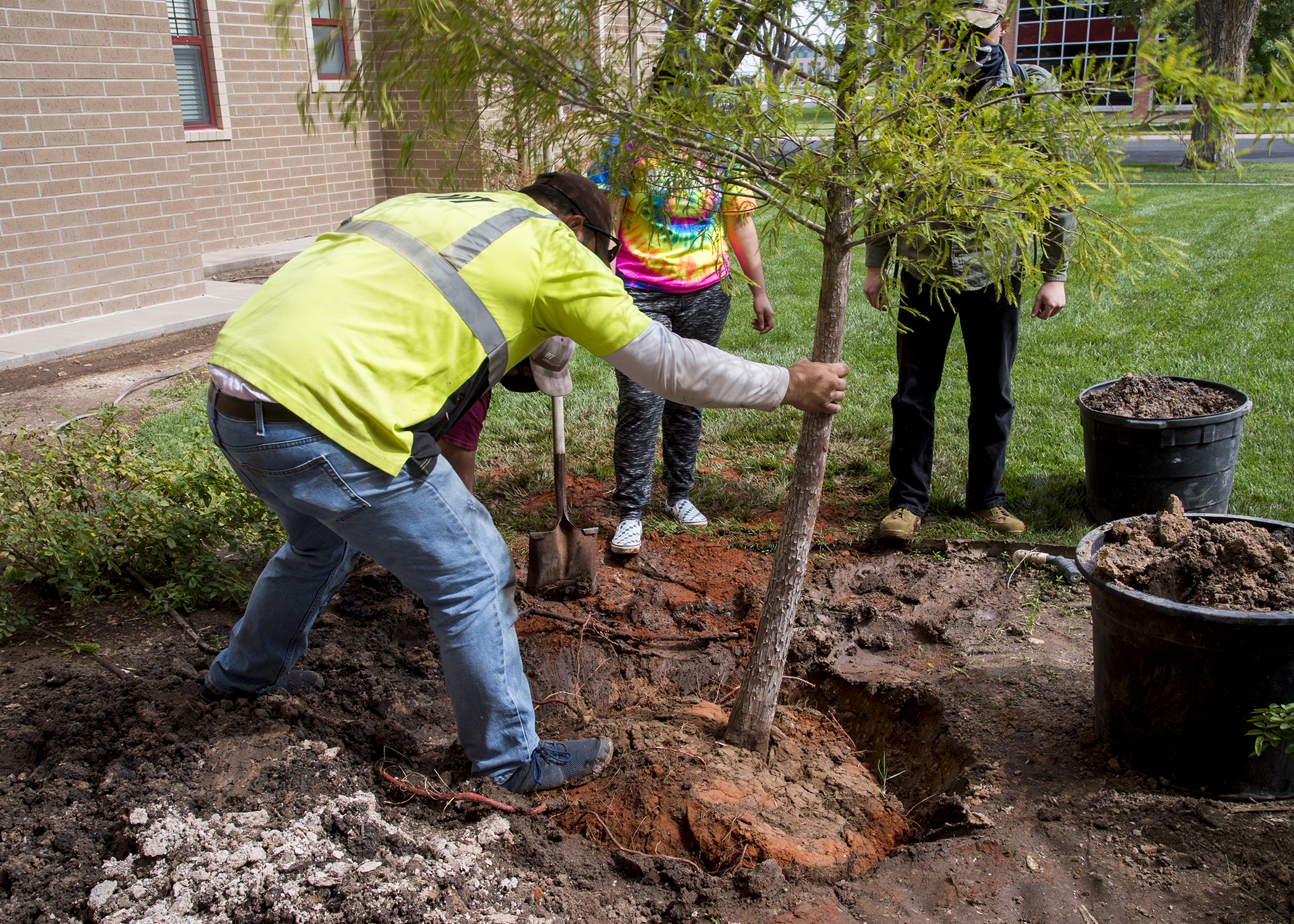 Arbor Day Celebrated at WT with Planting of New Trees WTAMU