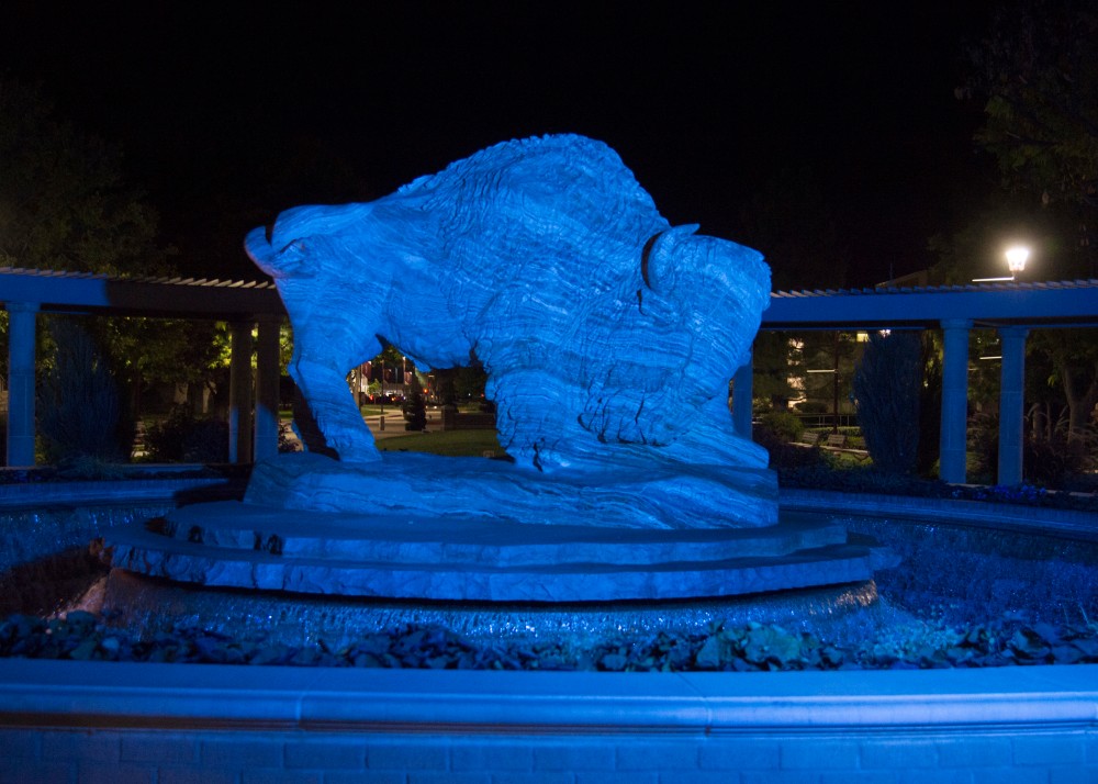 BlueBuffalo1
