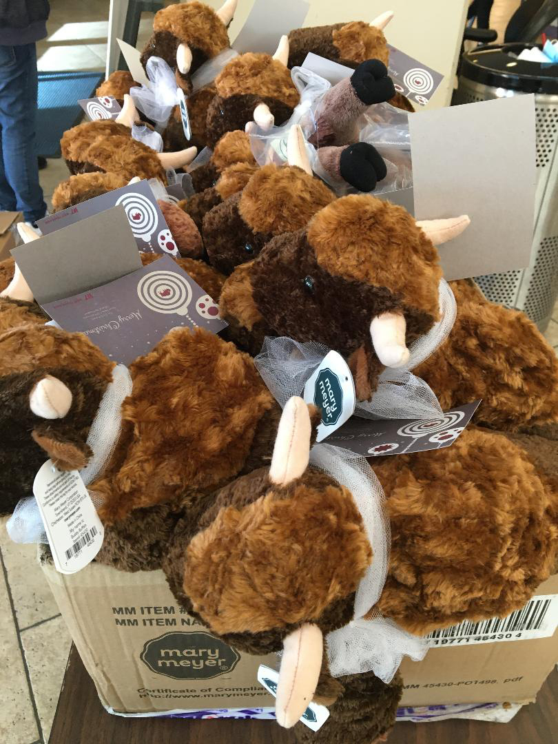 BrasingtonBuffalos2