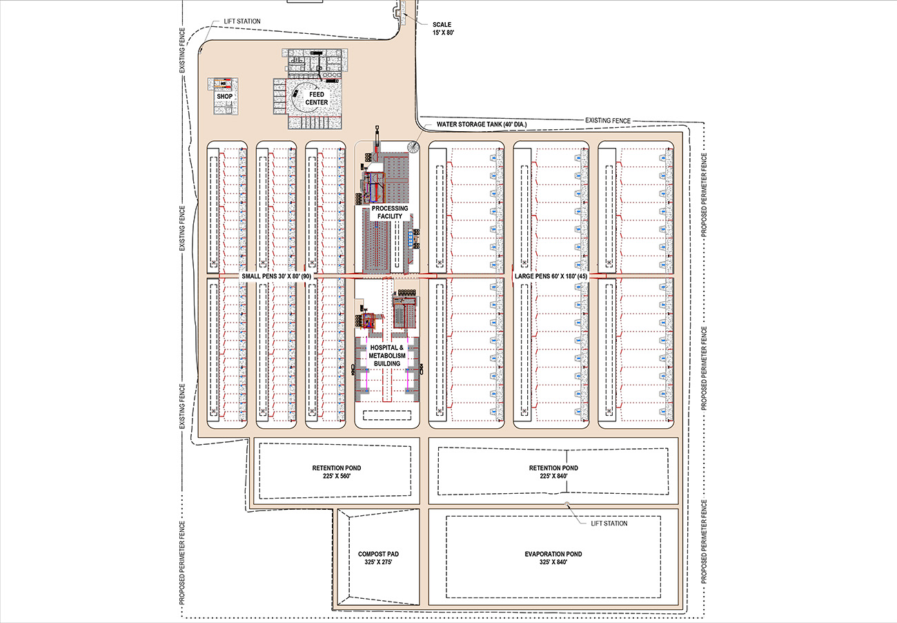 Feedlot Rendering 111025
