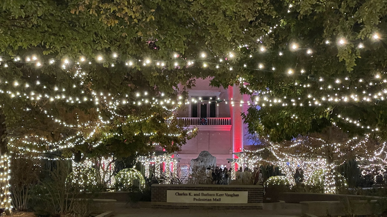 Festival Of Lights23
