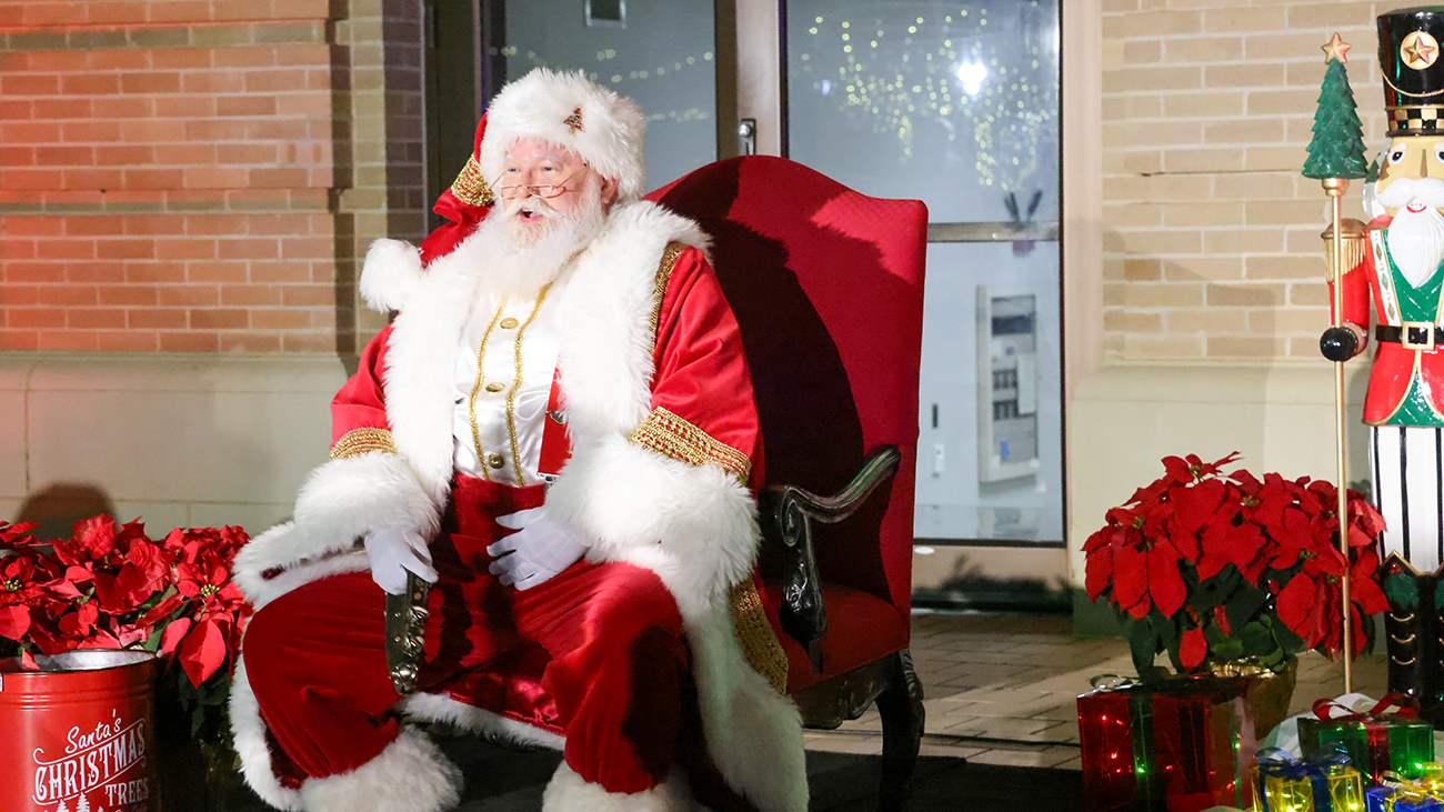 Festival Of Lights 25 advance