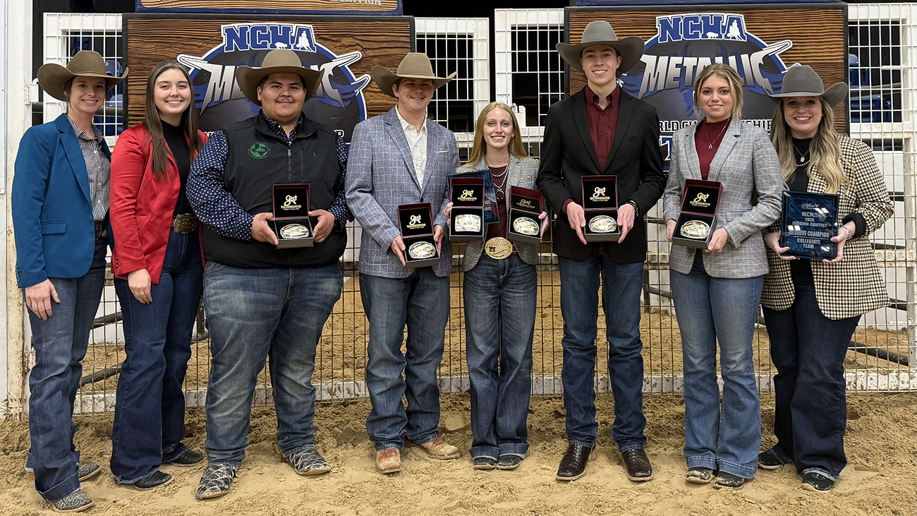 Horse Judging NCHA25