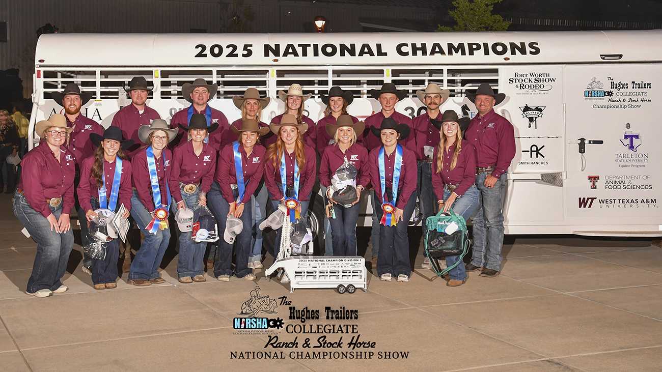 Ranch Horse25
