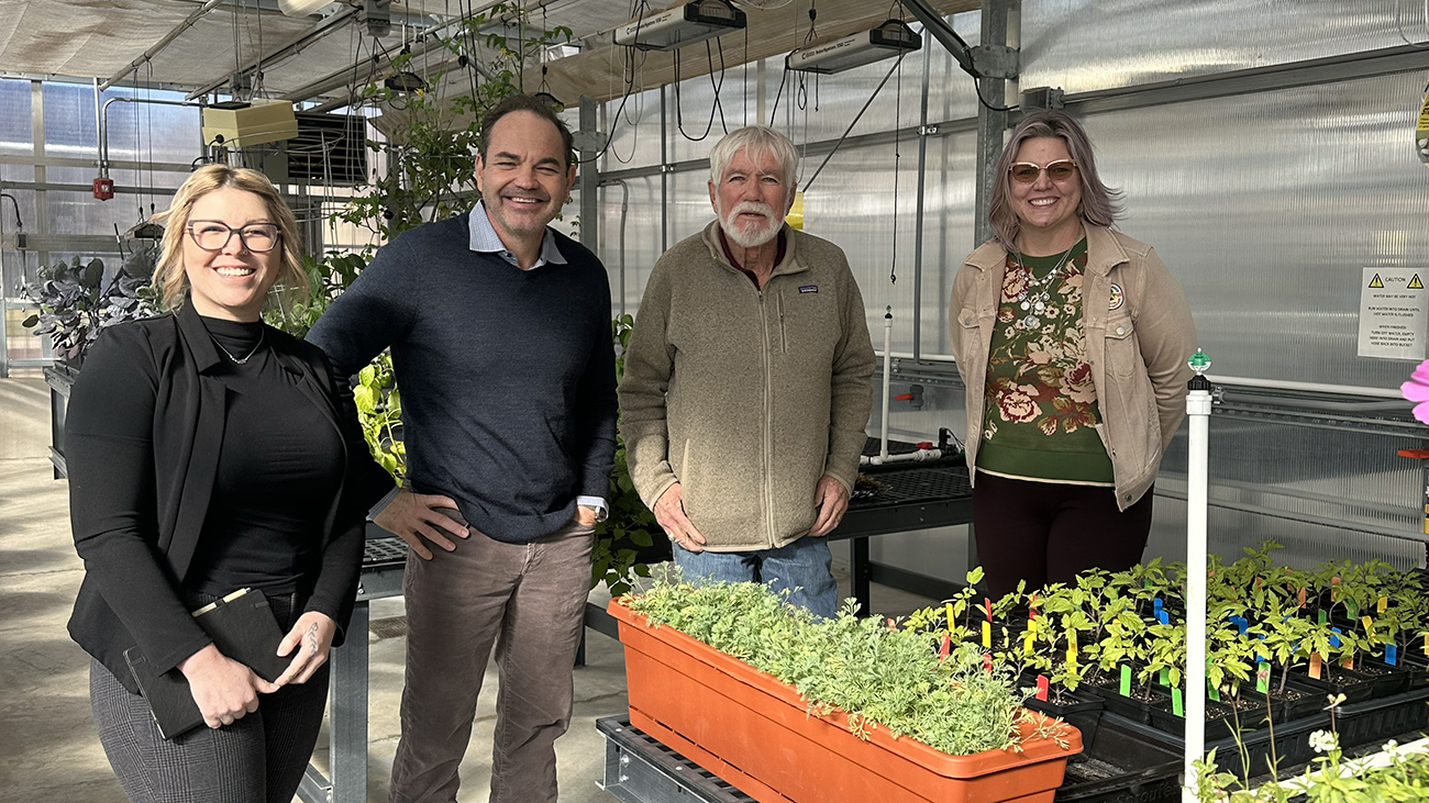 Salt Remediation Grant