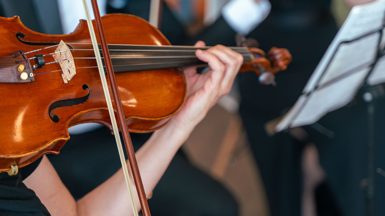 ViolinStockPhoto