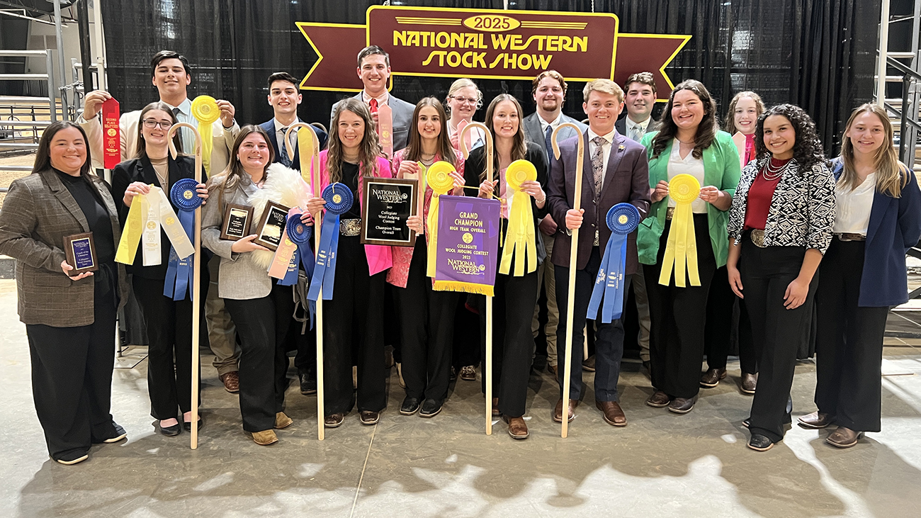 WoolJudgingNationalWestern25