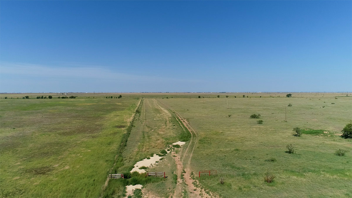 Aerial of Pasture