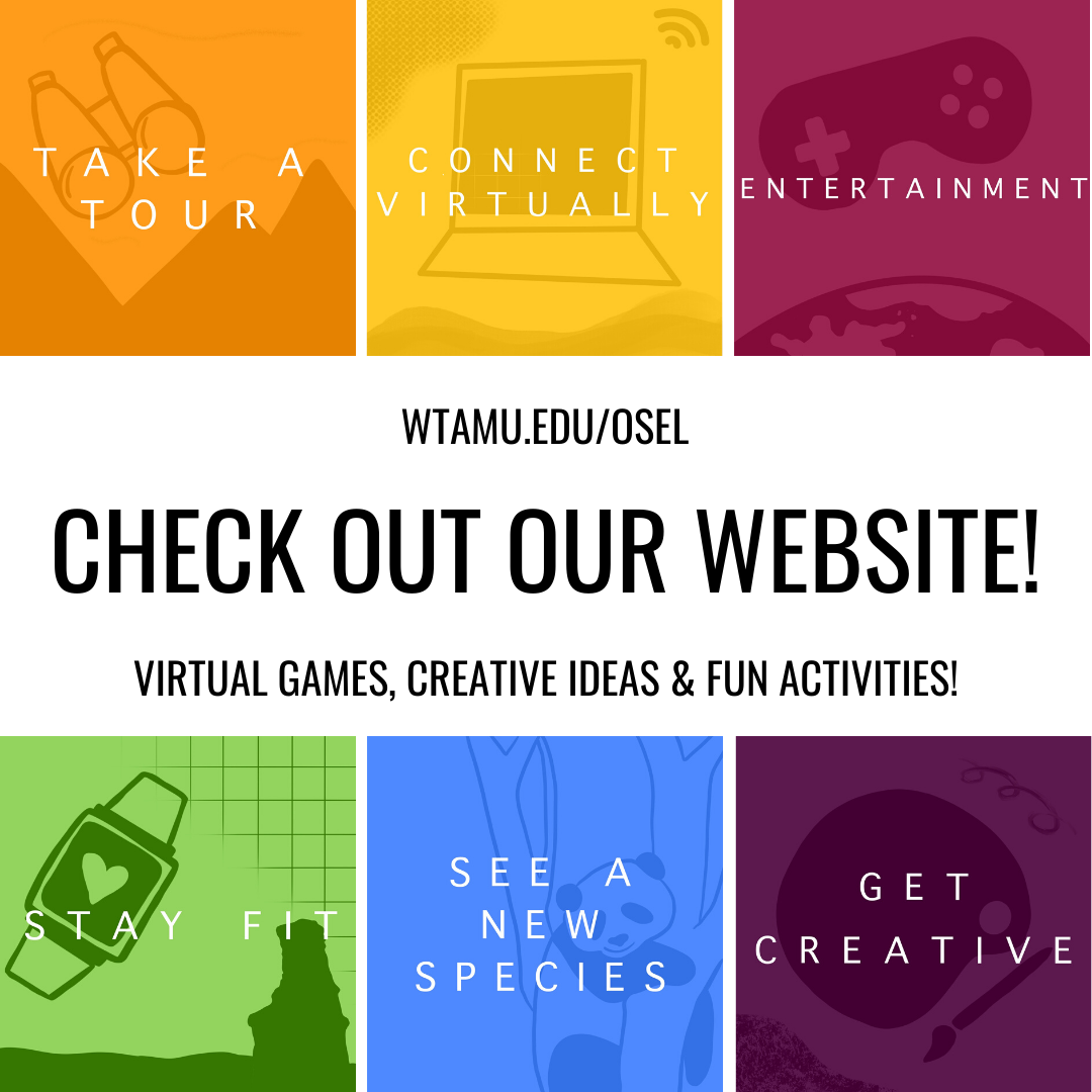 Check Out Our Website