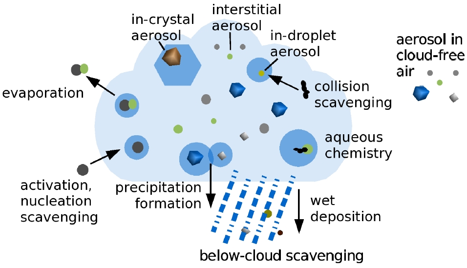 Aerosols in clouds