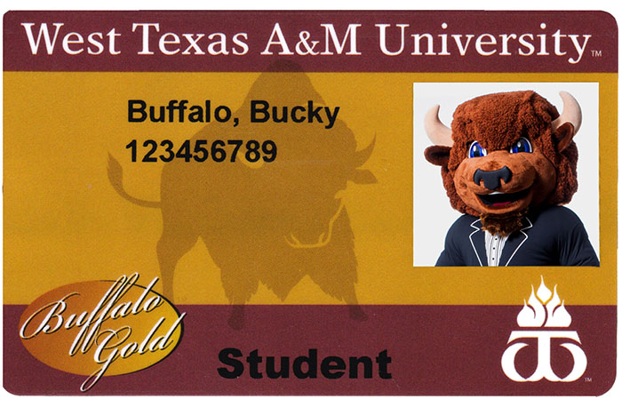 west texas a m university buffalo gold card texas a m letter of recommendation