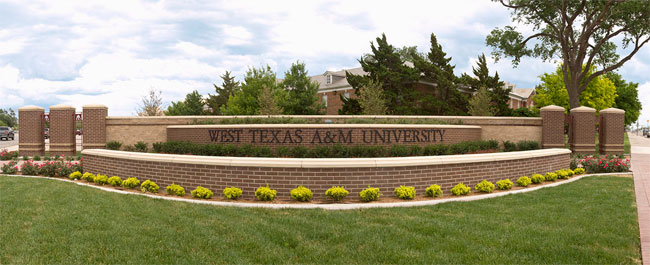 West Texas A M University Teaching Excellence Center New Faculty