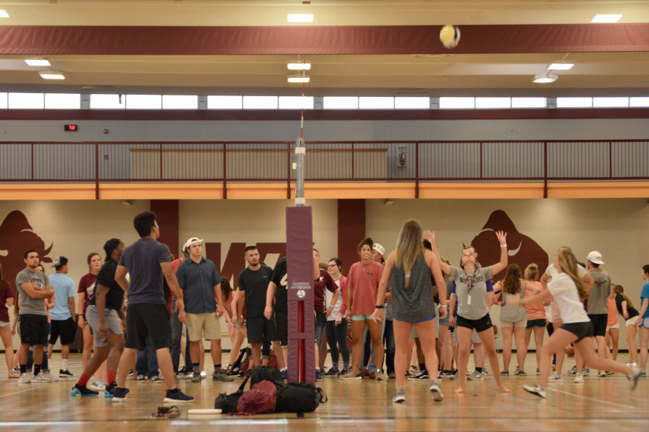 Students at NSO